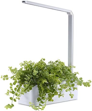 Smart Indoor Herb Garden With Long LED Light And Gerbera Plants Grower | Easy, Fast And Clean Gardening | Smart Watering Garden