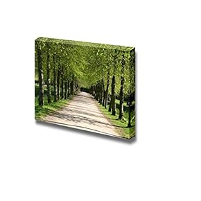 Canvas Prints Wall Art - Green Path in a Forest | Modern Wall Decor/Home Decoration Stretched Gallery Canvas Wrap Giclee Print. Ready to Hang - 12" x 18"