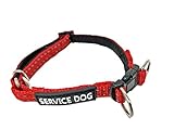 Albcorp Reflective Service Dog Collar - Service Dog