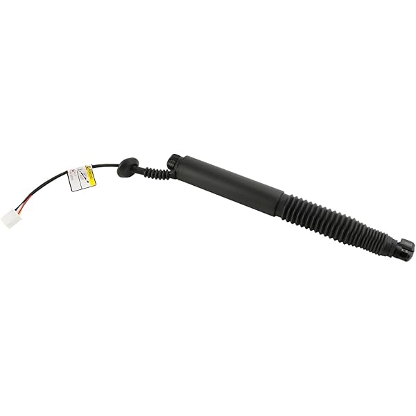 Amazon.com: Sachs SG203003 Lift Support : Automotive