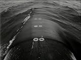 Top Ten Submarines