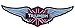 Triumph Silver Wings Jacket Cafe Racer Biker Patch