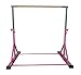 Z Athletic Gymnastics Expandable Junior Training Bar (Pink)