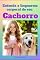 Livro Entenda A Linguagem Corporal Do Seu Cachorro