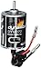 Dynamite Dynamite 15-Turn Brushed Motor