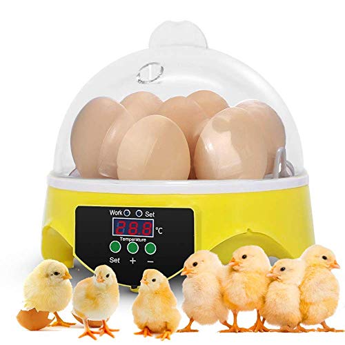 Sailnovo Egg Incubator, 6 Eggs Hatcher Poultry Hatching Machine With Temperature Control Chicken