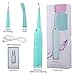 Electric Dental Calculus Remover Tartar Scraper Tooth Stain Remover High Frequency Vibration IPX6 Grade Waterproof with LED Light,Charged with USB