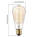 Newhouse Lighting ST64INC-6 ST64 Vintage Light Bulb 6-Pack Edison Bulbs-ST64 Style 60 Watts-Dimmable, Medium (E26) Standard Base E27-Squirrel Cage, 6-Pack, 2.7, Amber