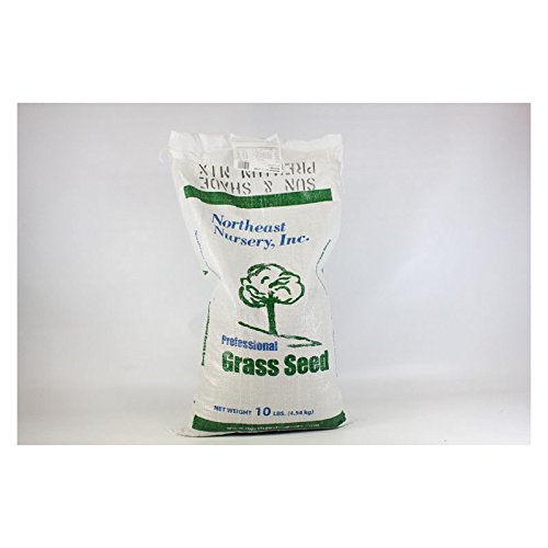 premium sun and shade grass seed