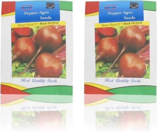 Semi Ortaggi Di Batlle - Barbabietola Detroit 2 (500 Seeds) | Leroy Merlin - Foto 5