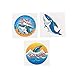 Fun Express Shark Tattoos (6 Dozen) Party Favors, Apparel Accessories, Temporary Tattoos