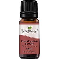 Plant Therapy Frankincense Serrata Essential Oils