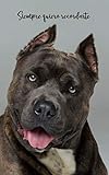 Siempre quiero recordarte: Cuaderno de contraseñas discreto | 109 Páginas | 432 Espaciosas cajas de registro | American Staffordshire Terrier | Sitio ... 20,3 cm | Registro | Perro (Spanish Edition)