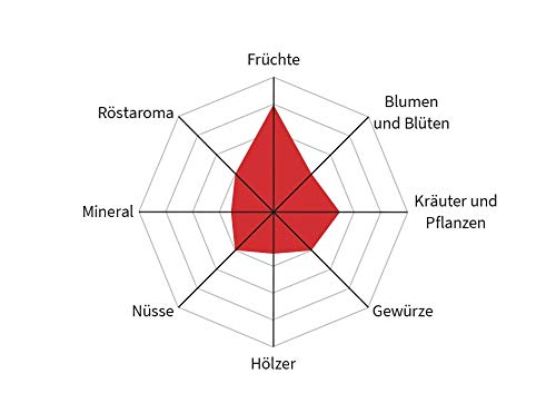 Henry´s Kaffee - Yirgacheffe Haileslassie Ambay 500g - Zitrusaromen - leichte Süße - erlesene Qualität - Handwerklich in… – Bild 3