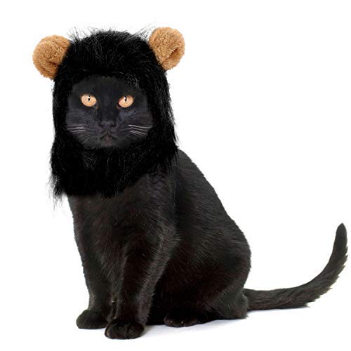 Legendog Cat Costume Halloween Bat Wings Pet Costumes Pet Apparel for Dogs and Cats (Lion Mane) - Thumbnail 7