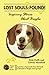 Lost Souls: FOUND! Inspiring Stories About Beagles by