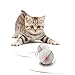 YOFUN Interactive Cat Toy 360 Degree Self Rotating Ball Automatic Light Toy for Pet(Batteries Included,5 Packs of Batteries in Total) (White)