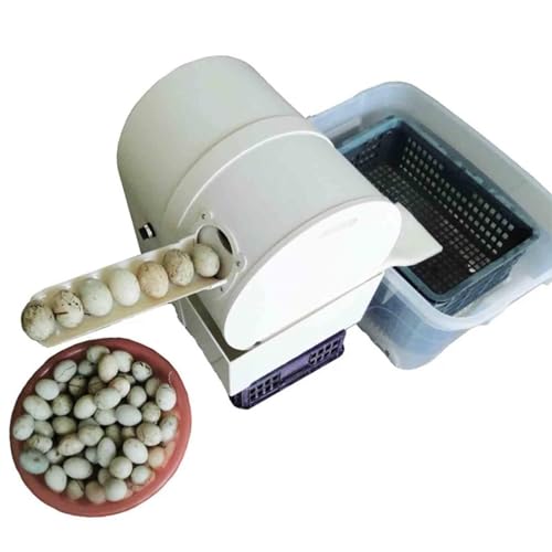 ZIJINGM Electric Egg Washer