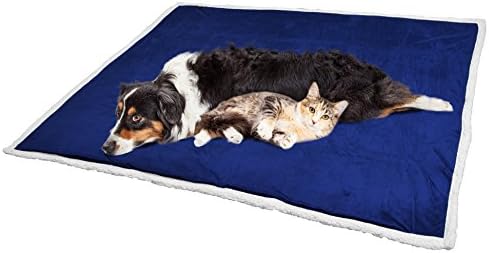 KritterWorld Pet Microplush Sherpa Snuggle Blanket, 50-Inch-by-60-Inch, Blue