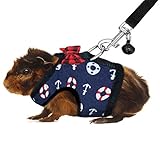 Rypet Guinea Pig Harness and Leash - Soft Mesh