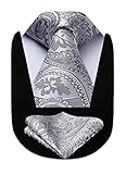 HISDERN Silver Ties for Men Paisley Tie