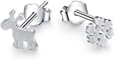 ER1210108C1 Explosion Models Silver Plating Women's Earring