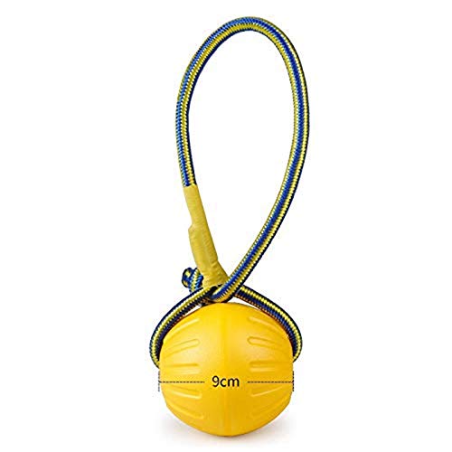 NMD&LR Dog Toy Bite-resistant Ball Frisbee, EVA Foam Floating Water Toy Pet Training Interactive Toy Is Suitable For Large, Medium And Small Dogs