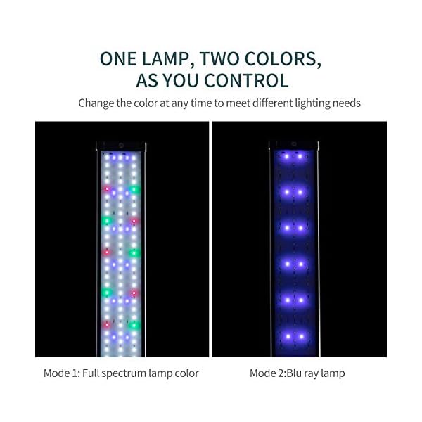 JOYHILL Illuminazione per Acquario, Plafoniera LED Acquario Dolce, Lampada LED per Acquario Luce Acquario 50-70cm