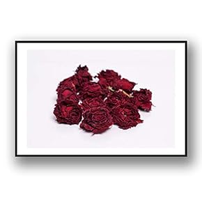 Framed Canvas Wall Art for Living Room, Bedroom Rose Flowers Canvas Prints for Modern Home Decoration Ready to Hang - 16"x24" inches
