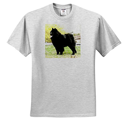 Dogs Chow Chow - Black Chow - T-Shirts - Adult Birch-Gray-T-Shirt Large (ts_844_20)