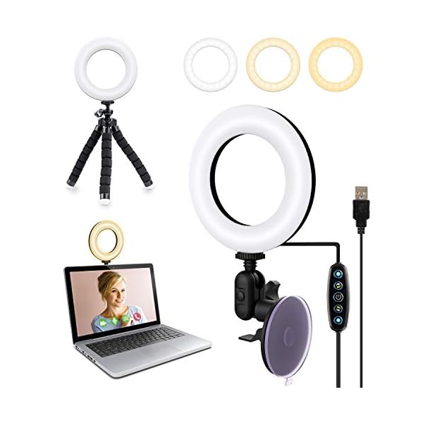 Videokonferenz Licht, Dimmbare LED Ringlicht Laptop Auf Laptop, Computer, Tablet mit Saugnapf und Stativ Ringlicht…