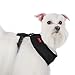 Puppia Soft Dog Harness No Choke Over-The-Head Triple Layered Breathable Mesh Adjustable Chest Belt and Quick-Release Buckle, Black, Medium