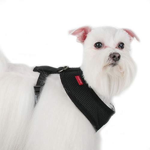 triple dog harness