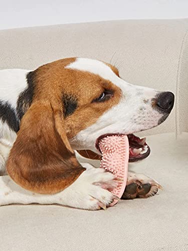 PetendTrust-Teething Toys for Puppies 2-8 Months- Dog Teething Toys - Puppy Chew Toys for Teething - Puppy Toys for Teething Small Dogs - Dog Toys for Puppies - Agressive Chewers - Dog Chew Toothbrush