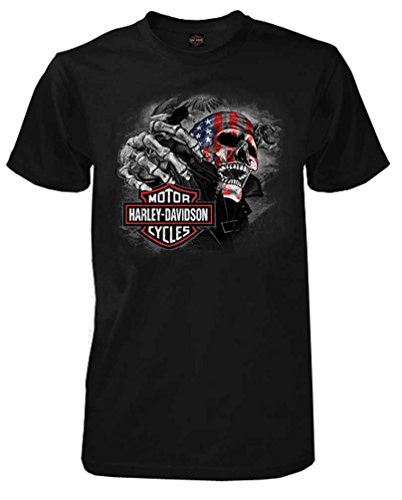 Harley-Davidson Men's Skull & Stripes Short Sleeve Crew Neck T-Shirt, Black