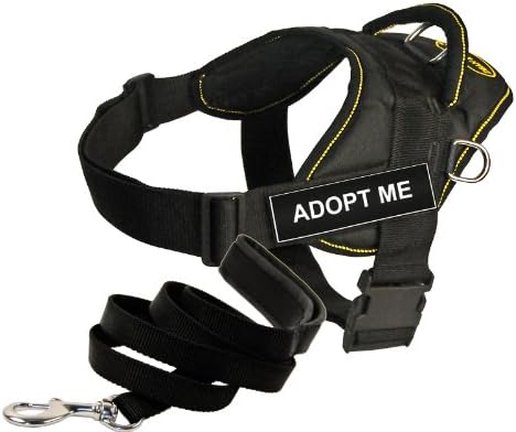 adopt me harness