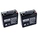 Universal Power UB12220 12 Volt 22 AmpH SLA Replacement Battery - 2 Pack primary