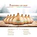 VicTsing Essential Oil Diffuser, 300ml Cool Mist Humidifier Ultrasonic Aromatherapy Diffuser for Office Home Bedroom Living Room Study Yoga Spa – Wood Grainthumb 1