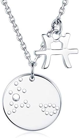 BlingGem Silver Necklace for Women 12 Constellations Pendant in White Gold Plated 925 Sterling Silver Symbol Necklace Galaxy Stars Jewellery Gift for Mother's Day