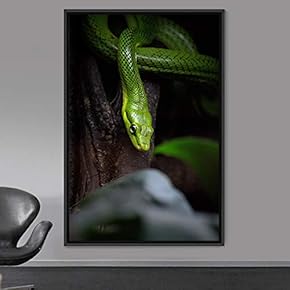 signwin Framed Canvas Wall Art Snake Contemporary Dramatic...