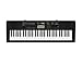 Casio CTK2400 61- Key Portable Keyboard with USB