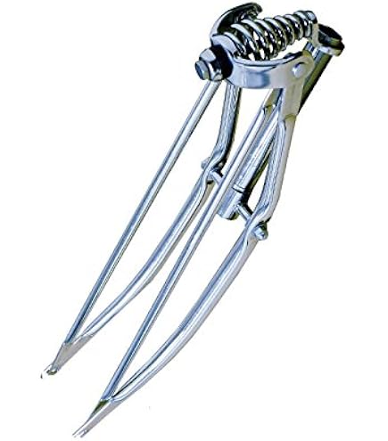Lowrider Bike 29 Bent Spring Fork 1 Inch Chrome. : Sports & Outdoors