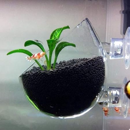 planted tank supplies