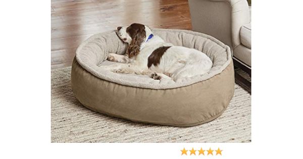 orvis tempur pedic dog bed