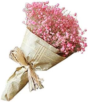 Coshall ドライフラワー かすみ草 花束 カスミ草 かすみそう ナチュラルガーランド 観賞植物 インテリアフラワー 室内装飾 ハンドメイド ナチュラル素材 インテリア雑貨 おしゃれ