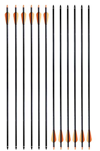 CQ Archery Practice Arrows for Recurve/Compound Bow or Traditional Bow (Targeting and Hunting) 30 inch Shaft with Removable Tips 12 Pack