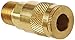 Dixon Valve DC103 Brass Air Chief Automotive Interchange Quick-Connect Air Hose Socket, 1/4