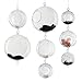 CYS EXCEL Plant Terrarium, Hanging Candle Holder Glass Terrarium, Multiple Size Available, Pack of 12 pcs (H:4.5