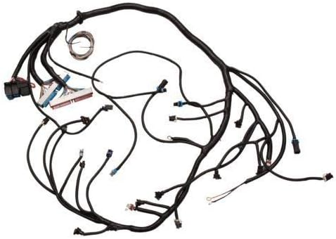 Brand New 1997-2006 DBC LS1 STANDALONE WIRING HARNESS T56 or Non-Electric Trans