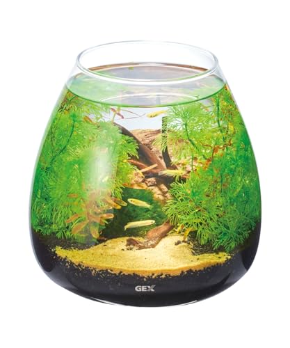 ジェックス グラスアクア ティアー-Nの商品画像